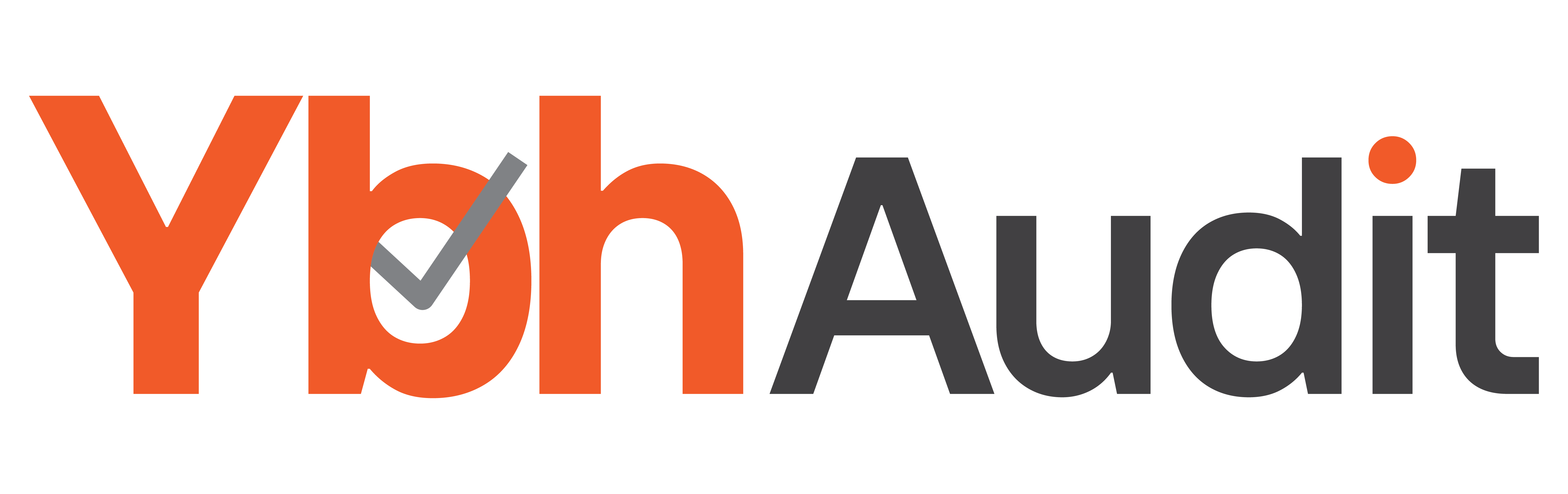 Ybh Audit Logo